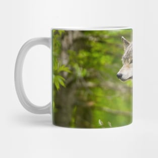 Timber Wolf Mug